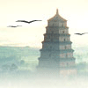 758663 阿波