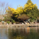 758951 人在旅途❀