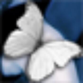 759387 ゞ棉花糖ゞ
