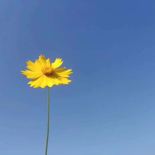 764372 764372