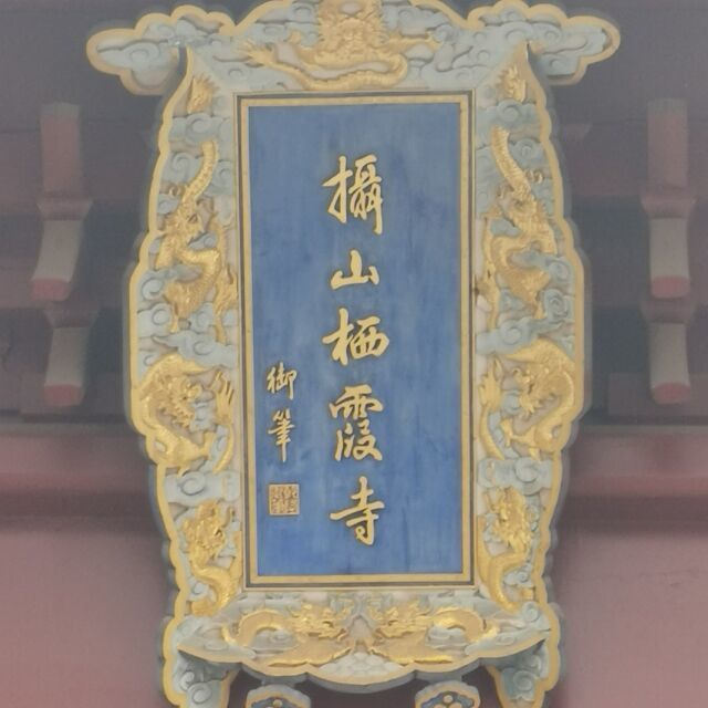 764466 智琦