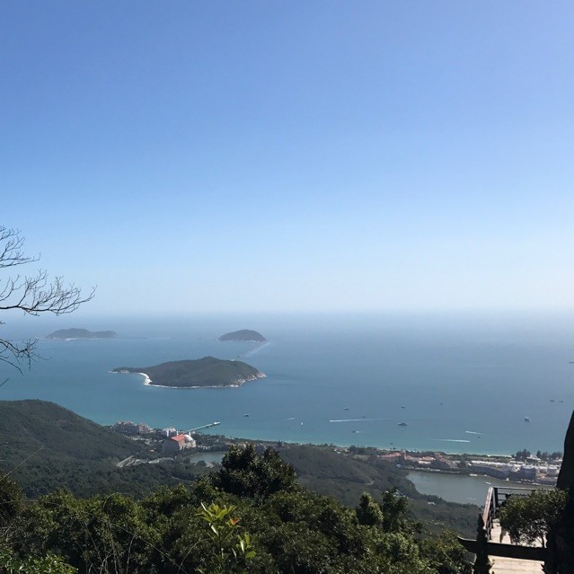 764752 老衲法号高升