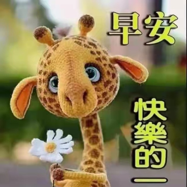 765290 轻舞浅唱