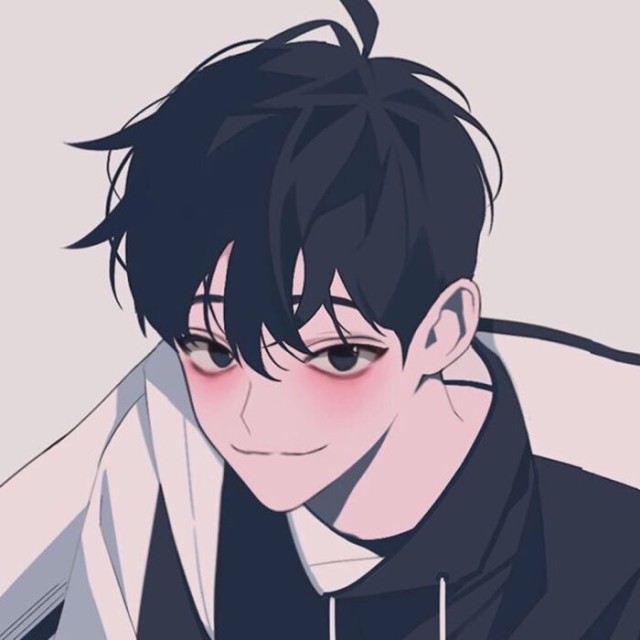 765934 新迪