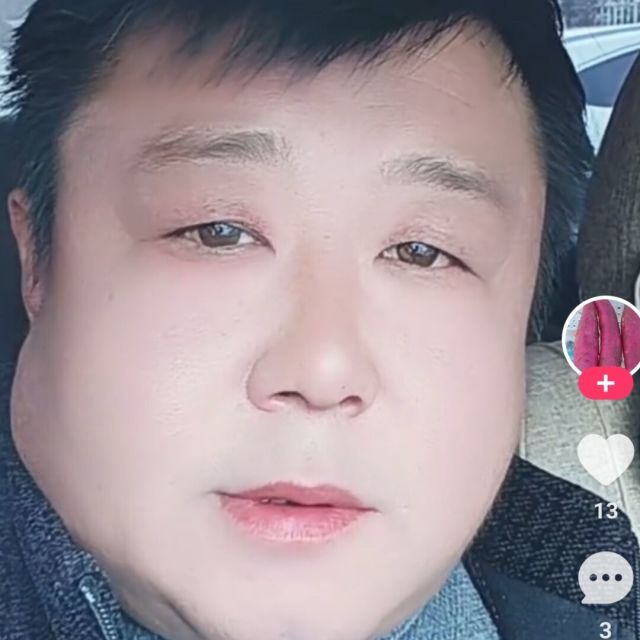 766398 肥牛