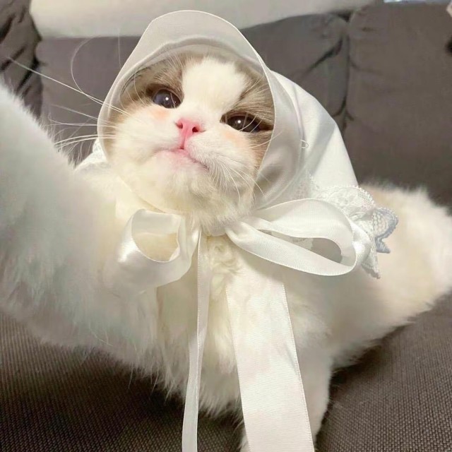 766733 7℃ จุ๊บ 