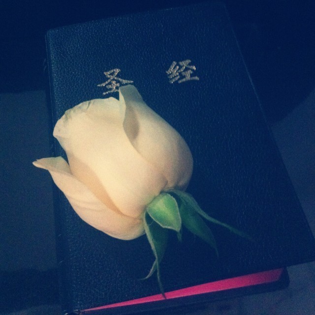 767267 李卓明❤.