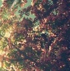767279 夏夏