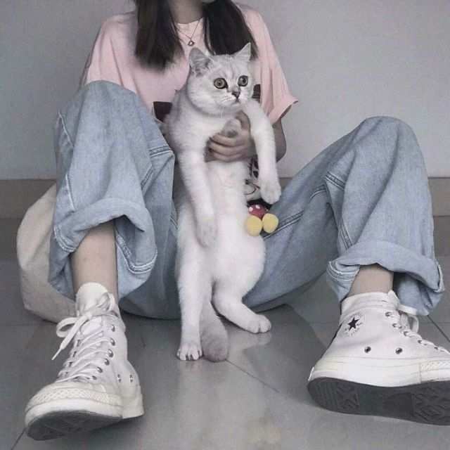 767332 鑫❤誠