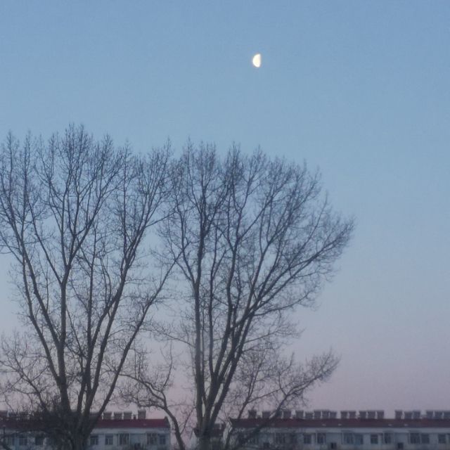 767959 -