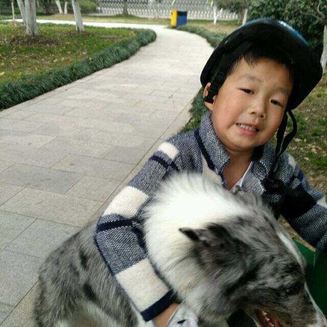 768414 乐乐