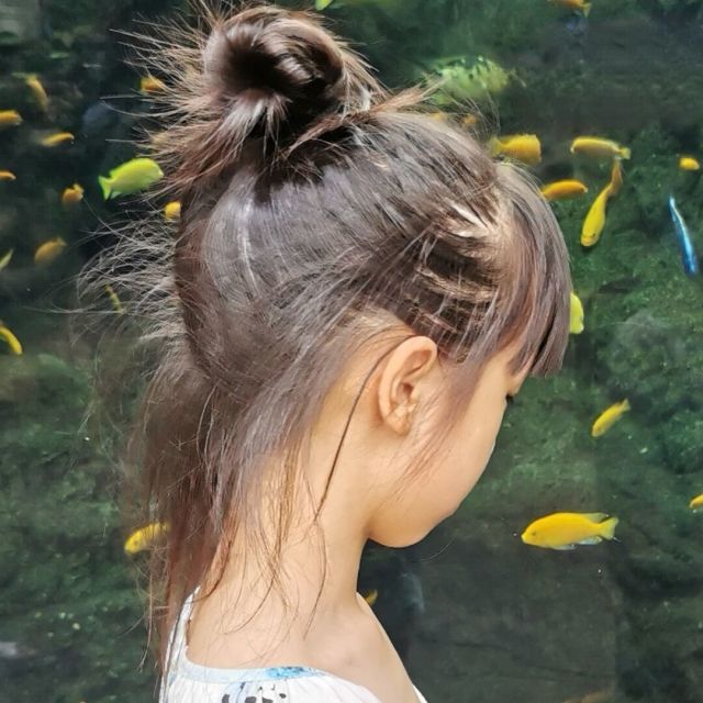 76854 菲