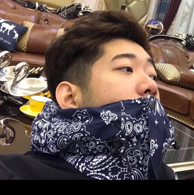 768545 Lamsterぬ