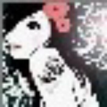 769106 紫色偶然