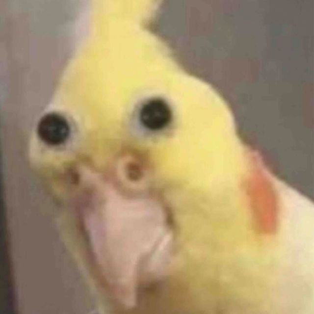 769393 杜思璇