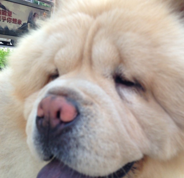 769903 ωǒ朙 Kener