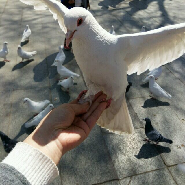 770577 ︶ㄣ﹎铭