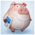 770960 Old pig