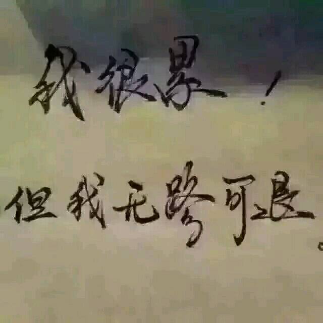 771093 英俊猪八戒