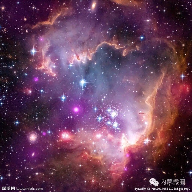771166 梵无极