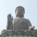 771282 阎浮提苦众生