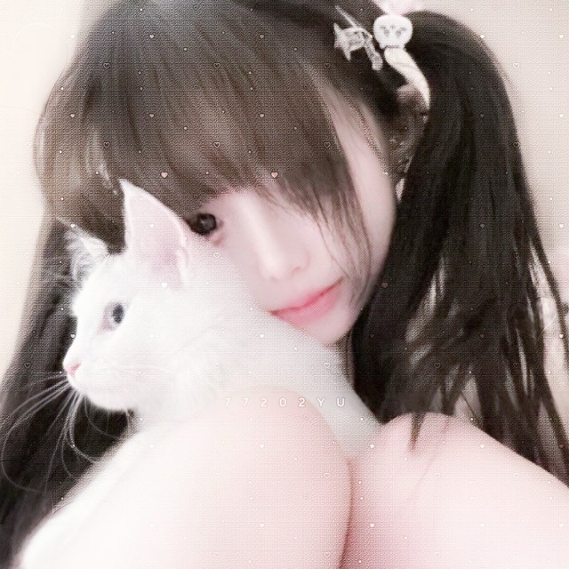 77202 在线服务