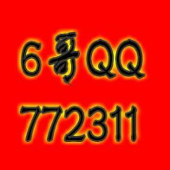 772311 YY-6哥