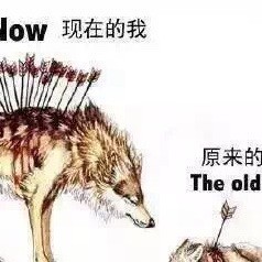 772450 天煞孤星メ