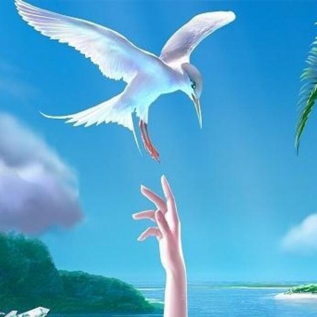 772766 莫烦