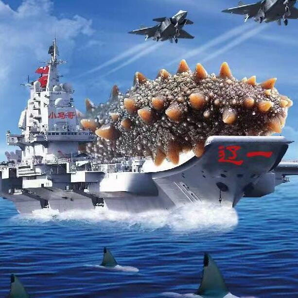773058 ′顶红