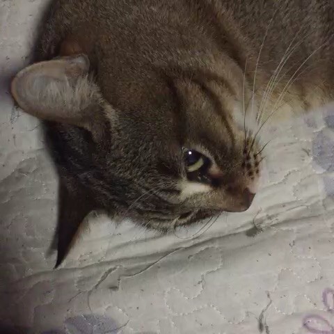773209 寒