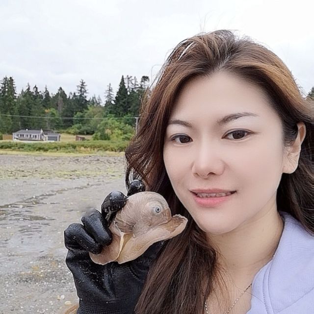 77334 喷香水的蝴蝶