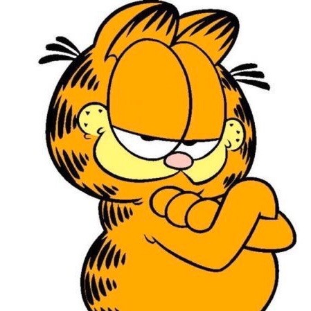 773501 可爱的加菲猫