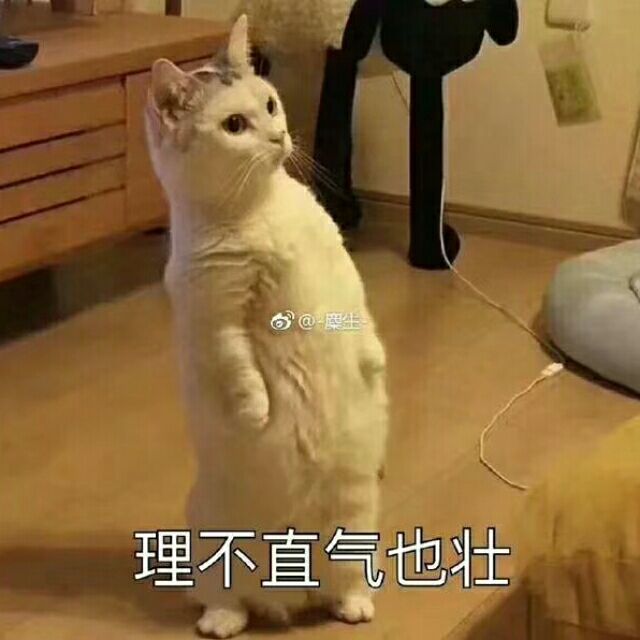 773632 *相濡以沫*