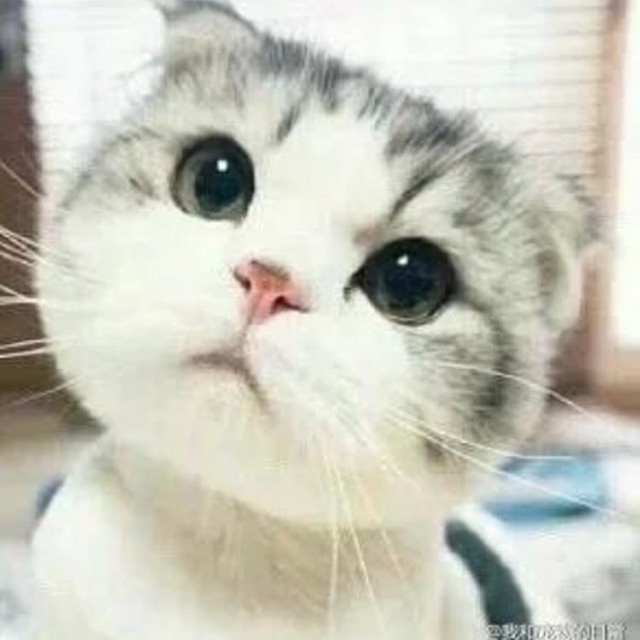 773734 zzz