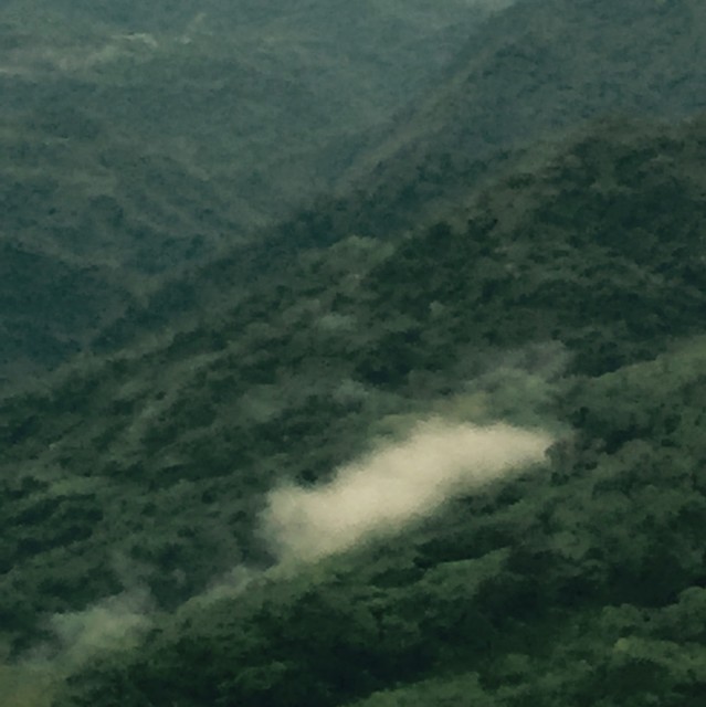 773843 小楼