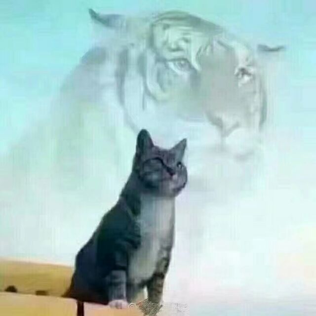 77446 阿 海