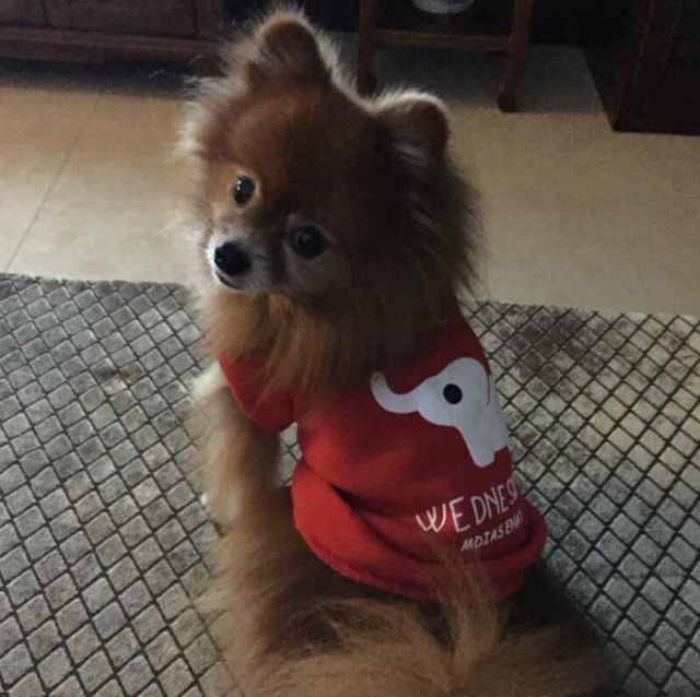 774912 丸子
