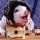 775295 猪猪