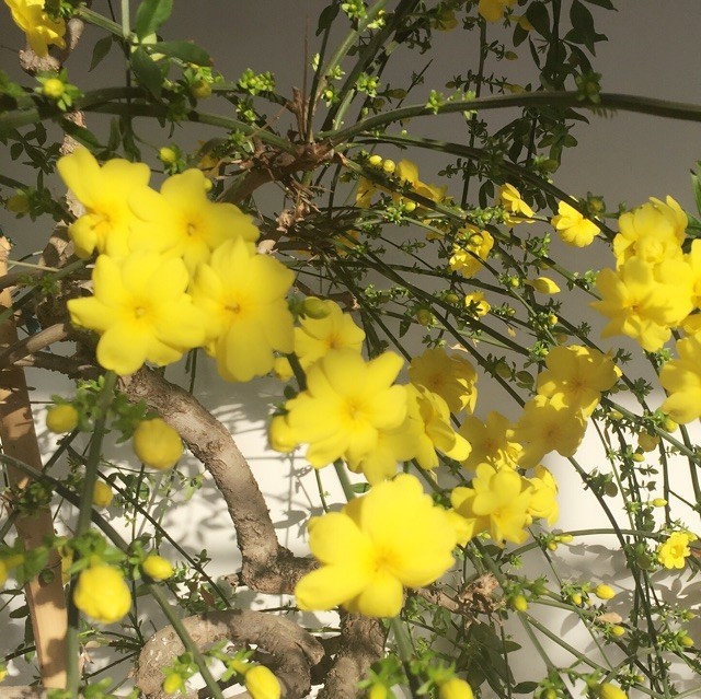 775362 中国电信泺口营业厅