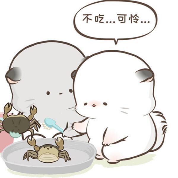 775458 7℃，夏天