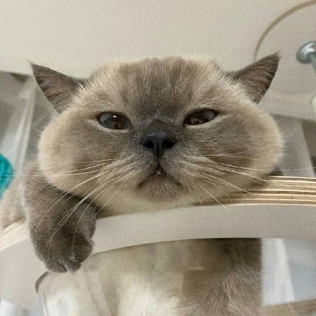 775510  
