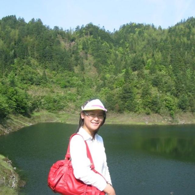 775850 木棉花