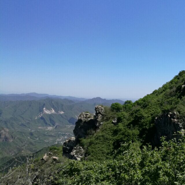 775893 維他命╮Ｃ