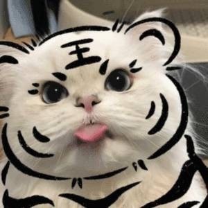 776115 杨景博