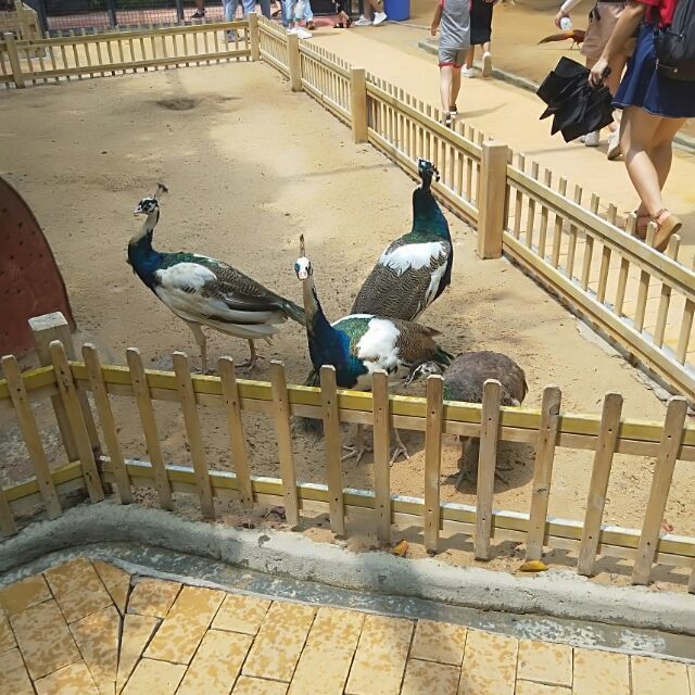 776615 踏月&Jacky