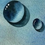 776635 鼬一年