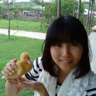 776695 kinki