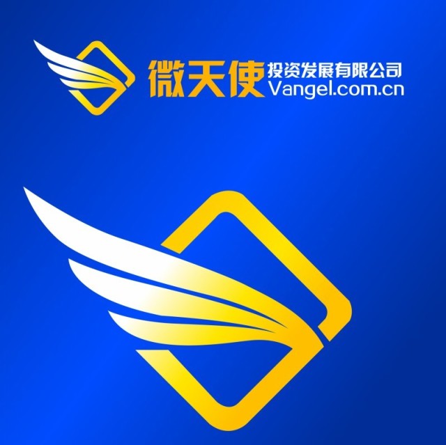 777267 微天使投资发展