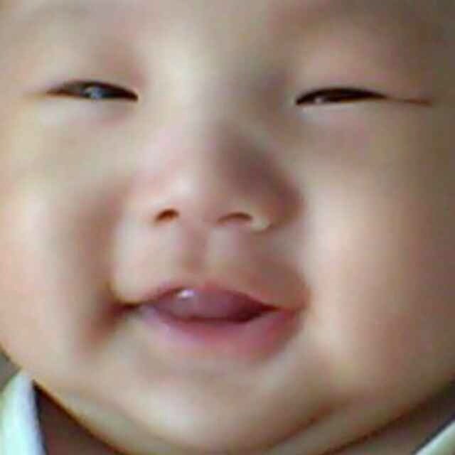 777673 かゎいい狼